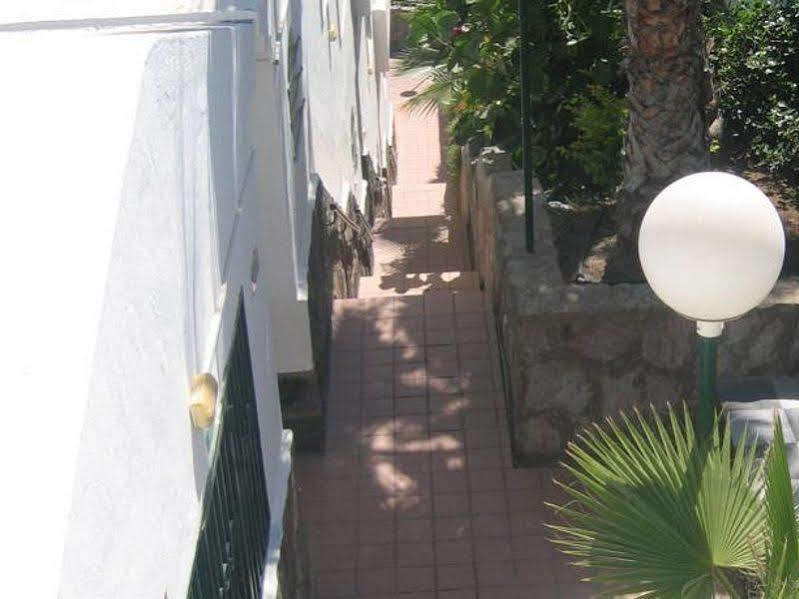 Apartamentos Laguna Porto Rico Extérieur photo